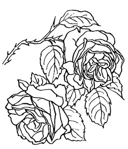 Иллюстрация к книге — Семь сестер. Сестра тени [i_006.jpg]