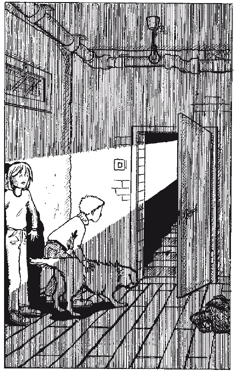 Иллюстрация к книге — Пёс по имени Мани [i_013.jpg]