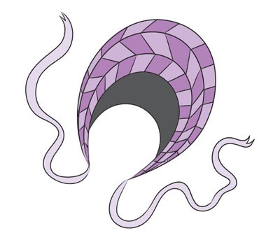 Иллюстрация к книге — Дело об алмазных черепахах [i_064.jpg]