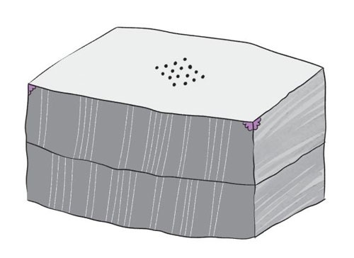 Иллюстрация к книге — Дело об алмазных черепахах [i_077.jpg]