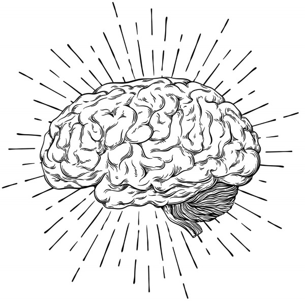 Иллюстрация к книге — Взламывая психологию [i_002.jpg]