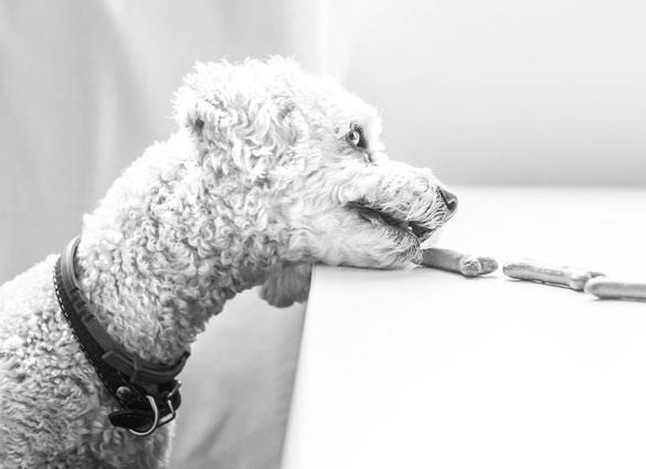 Иллюстрация к книге — Взламывая психологию [i_032.jpg]