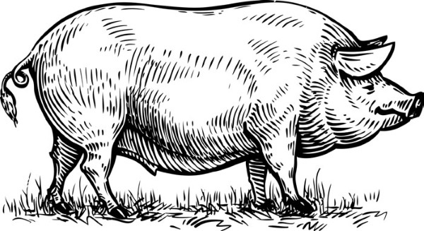 Иллюстрация к книге — Взламывая психологию [i_038.jpg]