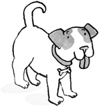 Иллюстрация к книге — Вечеринка для щенка [i_006.jpg]