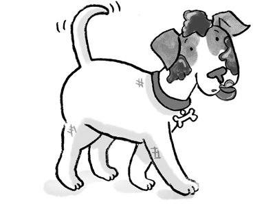 Иллюстрация к книге — Вечеринка для щенка [i_048.jpg]