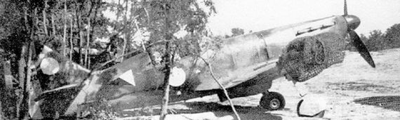 Иллюстрация к книге — Французские истребители Второй Мировой [i_122.jpg]