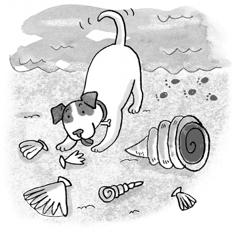 Иллюстрация к книге — Самый милый Проказник [i_016.jpg]