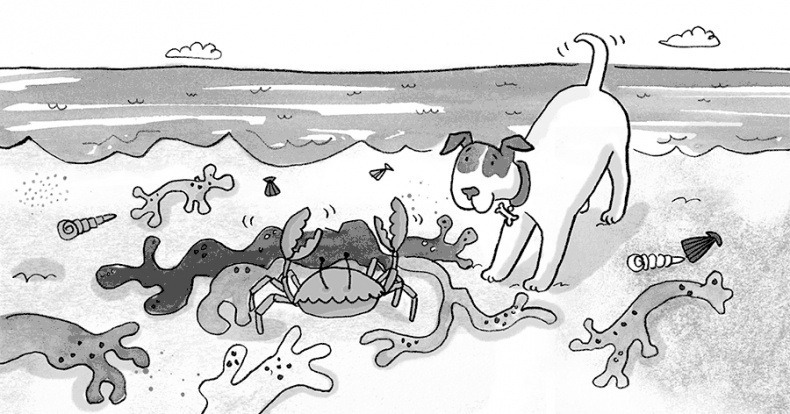 Иллюстрация к книге — Самый милый Проказник [i_024.jpg]