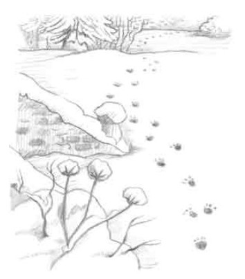 Иллюстрация к книге — Рождественские истории. Снежный кот [ch5.jpg]