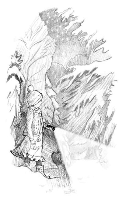 Иллюстрация к книге — Рождественские истории. Снежный кот [pic20.jpg]