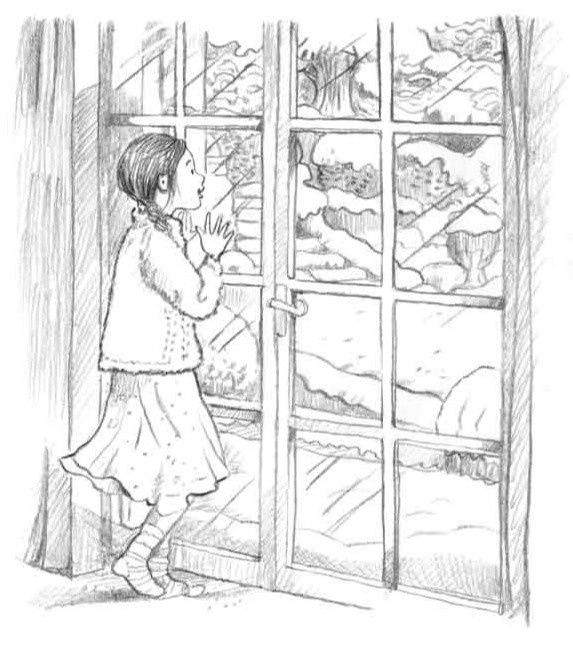 Иллюстрация к книге — Рождественские истории. Снежный кот [pic8.jpg]