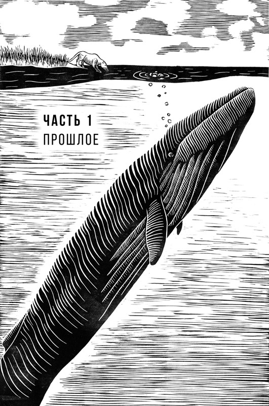 Иллюстрация к книге — Наблюдая за китами [i_002.jpg]