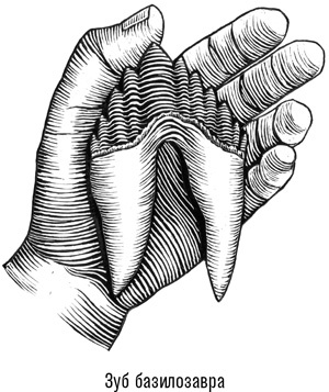 Иллюстрация к книге — Наблюдая за китами [i_006.jpg]