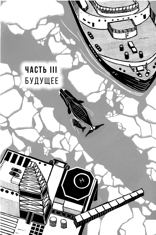 Иллюстрация к книге — Наблюдая за китами [i_020.jpg]