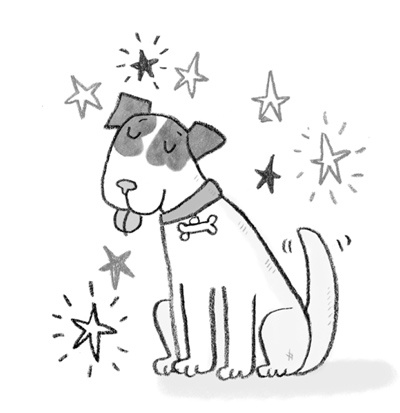 Иллюстрация к книге — Непослушная звезда [block_00114491.jpg]