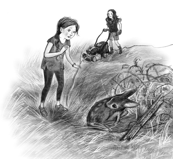 Иллюстрация к книге — Оленёнок Крапинка, или Бархатистый носик [i_017.jpg]