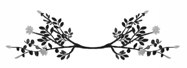 Иллюстрация к книге — Оленёнок Крапинка, или Бархатистый носик [i_019.jpg]