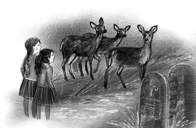 Иллюстрация к книге — Оленёнок Крапинка, или Бархатистый носик [i_032.jpg]