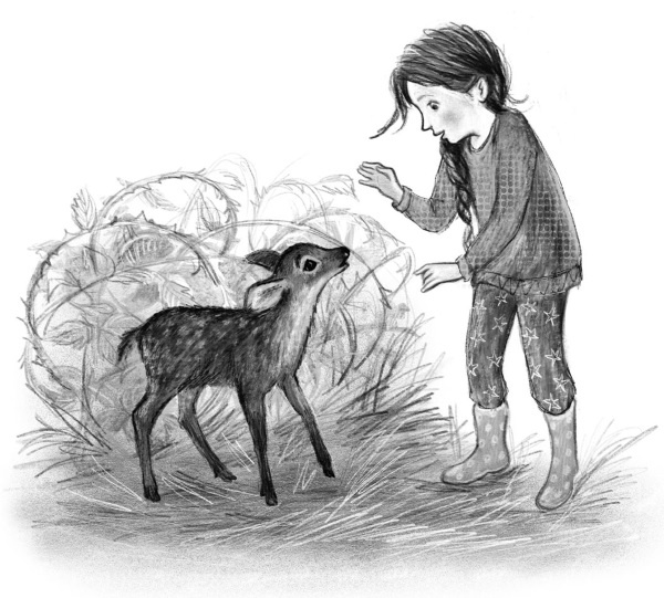 Иллюстрация к книге — Оленёнок Крапинка, или Бархатистый носик [i_036.jpg]