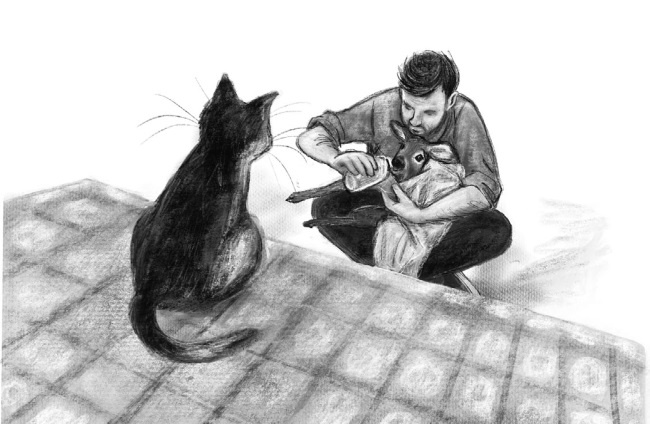 Иллюстрация к книге — Оленёнок Крапинка, или Бархатистый носик [i_043.jpg]