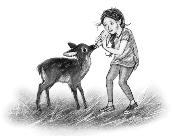 Иллюстрация к книге — Оленёнок Крапинка, или Бархатистый носик [i_051.jpg]