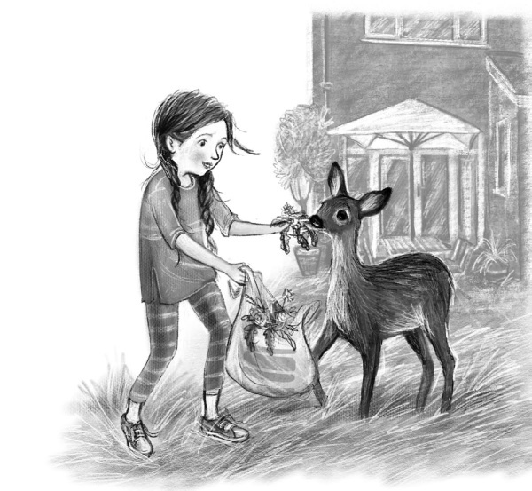 Иллюстрация к книге — Оленёнок Крапинка, или Бархатистый носик [i_059.jpg]