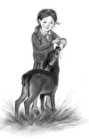 Иллюстрация к книге — Оленёнок Крапинка, или Бархатистый носик [i_061.jpg]