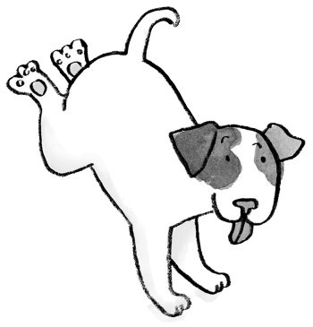 Иллюстрация к книге — Загадай желание! [i_012.jpg]