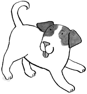 Иллюстрация к книге — Загадай желание! [i_016.jpg]