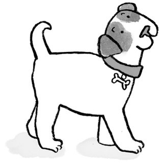 Иллюстрация к книге — Загадай желание! [i_025.jpg]