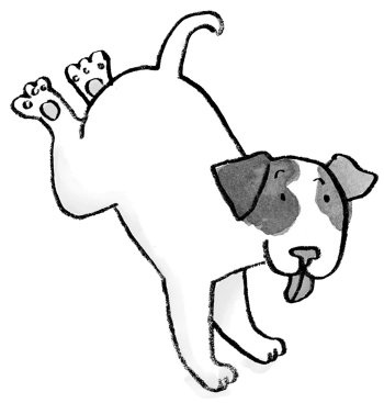 Иллюстрация к книге — Загадай желание! [i_052.jpg]