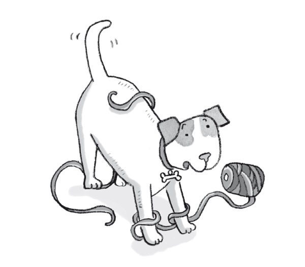 Иллюстрация к книге — Загадай желание! [i_053.jpg]