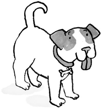 Иллюстрация к книге — Загадай желание! [i_056.jpg]