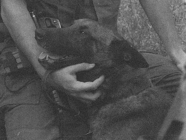 Иллюстрация к книге — Собачья служба. Истории израильского военного кинолога [i_012.jpg]