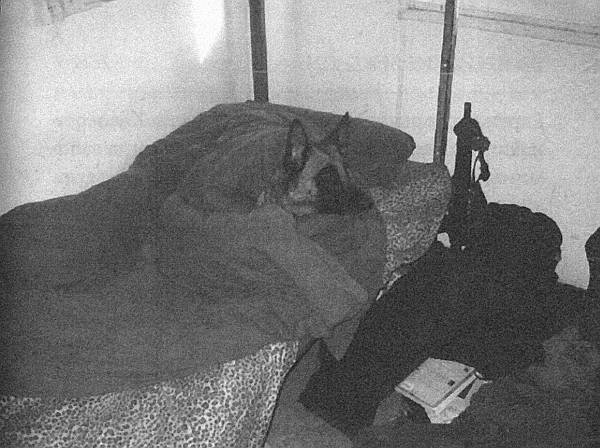 Иллюстрация к книге — Собачья служба. Истории израильского военного кинолога [i_013.jpg]