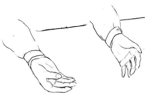 Иллюстрация к книге — Я понимаю тебя без слов. Как читать людей по жестам и мимике [i_005.jpg]