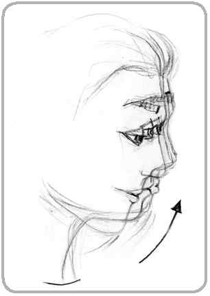 Иллюстрация к книге — Я понимаю тебя без слов. Как читать людей по жестам и мимике [i_062.jpg]