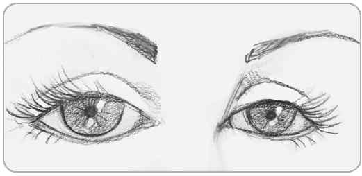 Иллюстрация к книге — Я понимаю тебя без слов. Как читать людей по жестам и мимике [i_108.jpg]