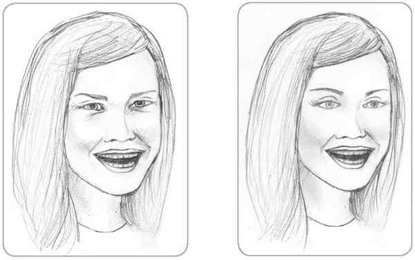 Иллюстрация к книге — Я понимаю тебя без слов. Как читать людей по жестам и мимике [i_122.jpg]