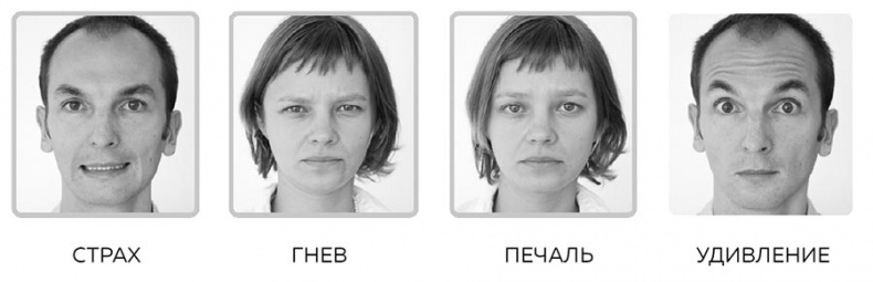 Иллюстрация к книге — Я понимаю тебя без слов. Как читать людей по жестам и мимике [i_132.jpg]