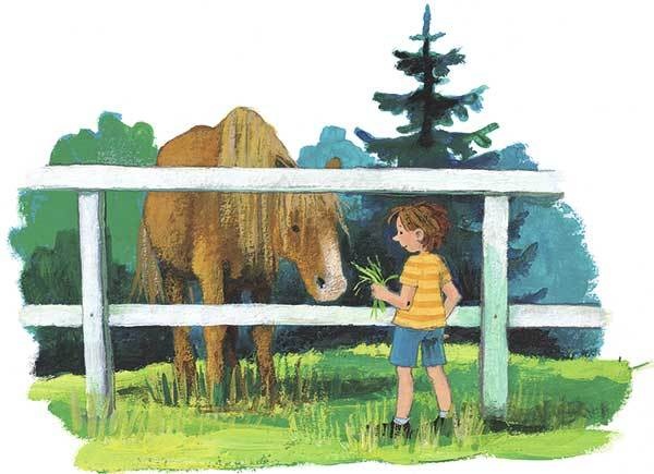 Иллюстрация к книге — Дети с улицы Чаек [i_029.jpg]