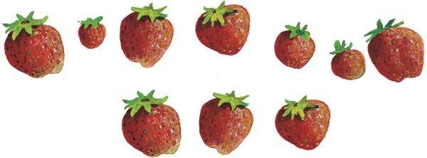 Иллюстрация к книге — Дети с улицы Чаек [i_033.jpg]