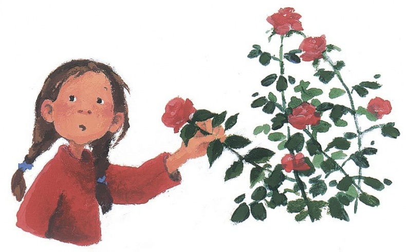 Иллюстрация к книге — Лето на улице Чаек [i_012.jpg]