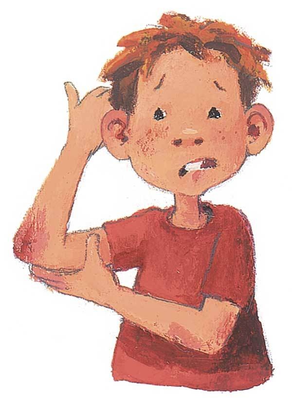 Иллюстрация к книге — Лето на улице Чаек [i_020.jpg]