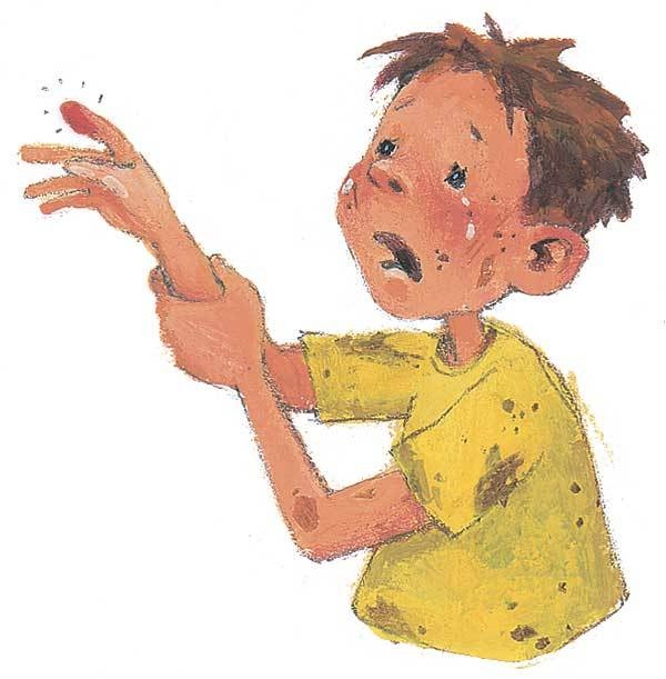 Иллюстрация к книге — Лето на улице Чаек [i_034.jpg]