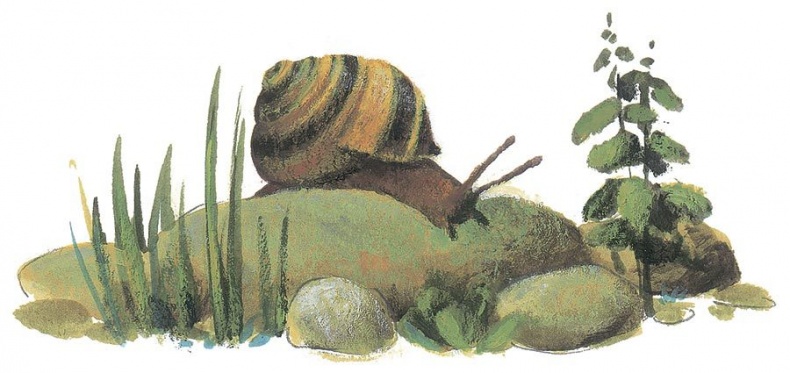 Иллюстрация к книге — Лето на улице Чаек [i_039.jpg]