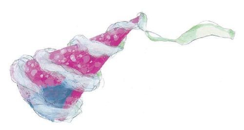 Иллюстрация к книге — День рождения на улице Чаек [i_018.jpg]