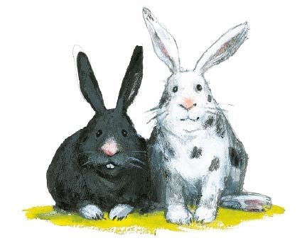 Иллюстрация к книге — Тайна на улице Чаек [i_004.jpg]