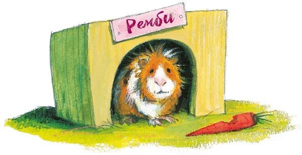 Иллюстрация к книге — Тайна на улице Чаек [i_005.jpg]