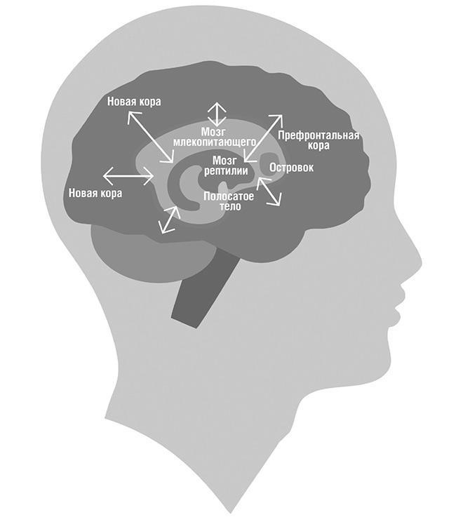 Иллюстрация к книге — Единоплеменники. Сплотить, убедить, вдохновить [i_005.jpg]